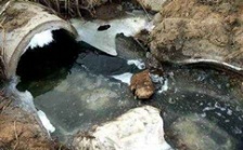  cod能反映水質(zhì)污染情況嗎？