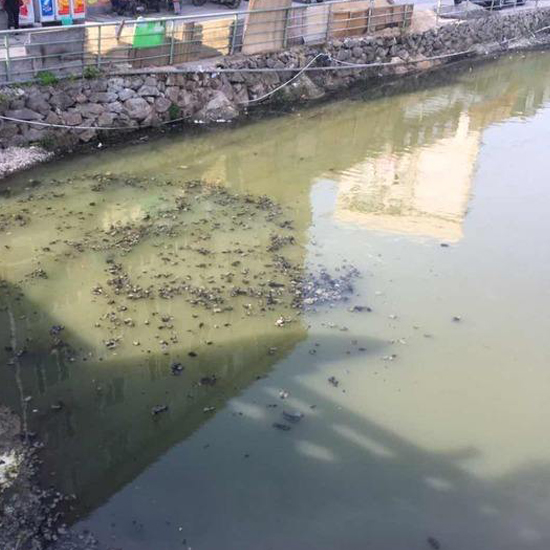  秋冬交替，污泥又到了換季膨脹的季節(jié)